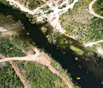 Neretva neprepoznatljiva, mrtve ribe i rakovi, akumulacija crne boje