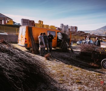 Udruga “Eko-plod” započela podjelu sadnica za podizanje novih i revitalizaciju postojećih nasada šljive