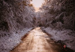 Mokar kolovoz, na dionicama u višim planinskim predjelima poledica, oprez zbog magle i odrona