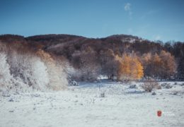 Zahlađenje prije Božića, očekuju se temperature znatno ispod nule
