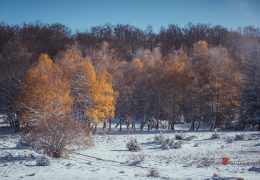 Nove padaline širom BiH, snijeg se spušta i u niže krajeve