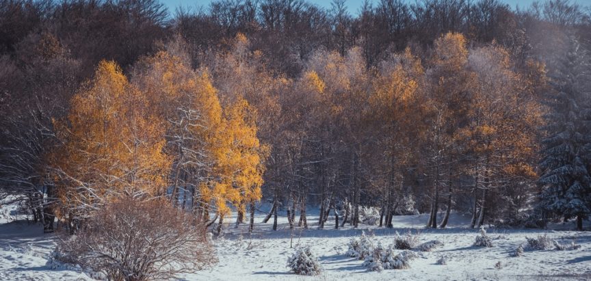 Nove padaline širom BiH, snijeg se spušta i u niže krajeve