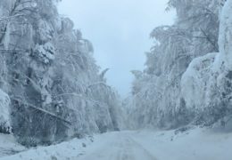 Za redovito i zimsko održavanje cesta JP Ceste Federacije BiH raspisalo natječaj u vrijednosti više od 190 milijuna KM