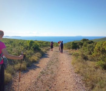 CAMINO KORČULA: Hodočasnička staza slavi prvu obljetnicu