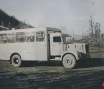 PRIČE KOJE ŽIVOT PIŠE: Šumski autobus