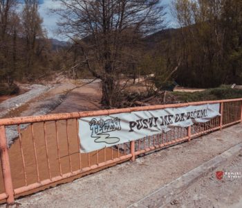 Nelegalna sječa stabala kod izvora Neretvice
