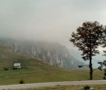 Medvjed napao muškarca na Vlašiću