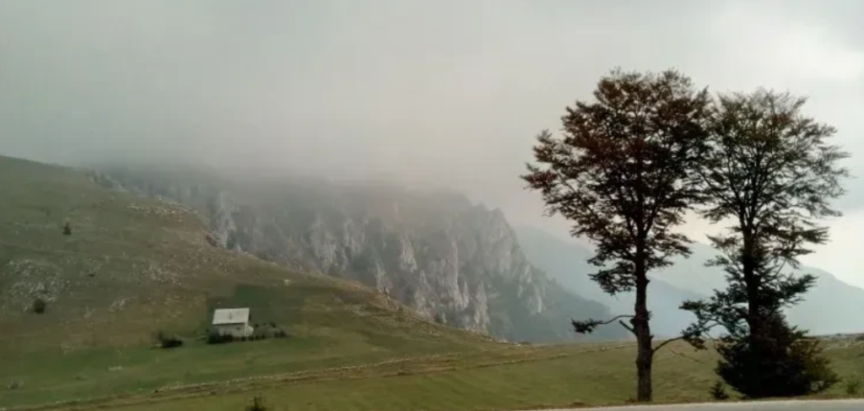 Medvjed napao muškarca na Vlašiću