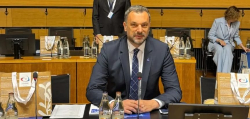 “Vijeće Europe ostaje temelj demokracije, ljudskih prava i vladavine prava na našem kontinentu”