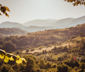 EVO POPISA DOBITNIKA: Četiri milijuna eura za 221 poljoprivredni projekt Hrvata u BiH