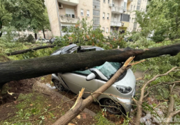 NEVRIJEME U MOSTARU: Stabla padala po automobilima i prouzročila štetu