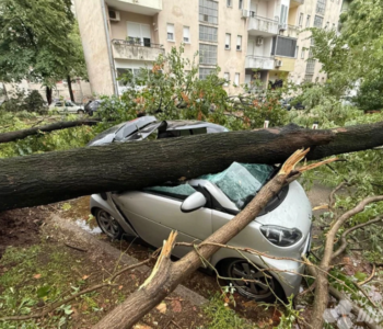 NEVRIJEME U MOSTARU: Stabla padala po automobilima i prouzročila štetu