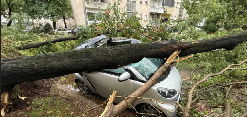 NEVRIJEME U MOSTARU: Stabla padala po automobilima i prouzročila štetu