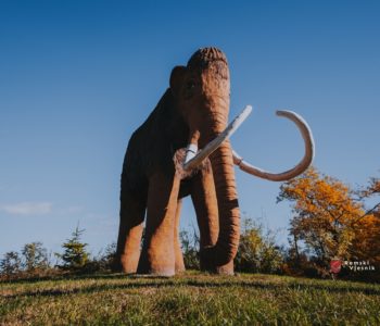 Maleno selo na istoku Hrvatske bilo je dom posljednjeg mamuta iz ledenog doba Maleno selo na istoku Hrvatske bilo je dom posljednjeg mamuta iz ledenog doba
