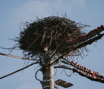 Planirana isključenja struje u Rami