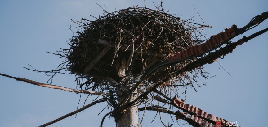 Planirana isključenja struje u Rami