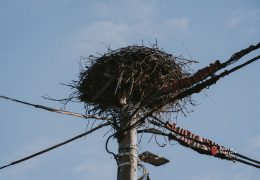 Stručnjak za energetiku upozorava: “Redukcije struje u BiH postat će neizbježne”