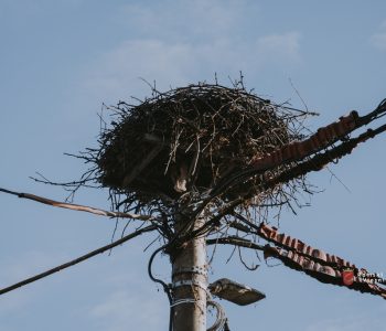 Stručnjak za energetiku upozorava: “Redukcije struje u BiH postat će neizbježne”
