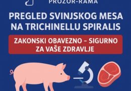 Pregled svinjskog mesa u sezoni svinjokolje