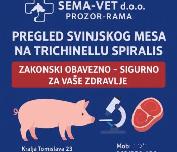 Pregled svinjskog mesa u sezoni svinjokolje
