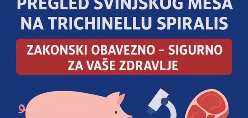 Pregled svinjskog mesa u sezoni svinjokolje