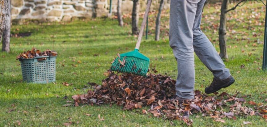 Kako ubrzati opadanje lišća i zaštititi stabla na vrijeme