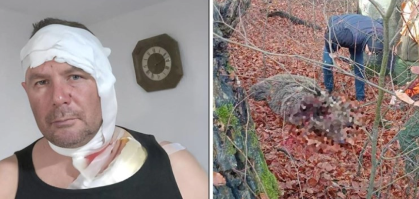 Medvjedica napala lovca u BiH