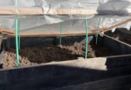 Kako produžiti vrtlarsku sezonu postavljanjem jednostavnog plastenika