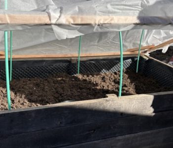 Kako produžiti vrtlarsku sezonu postavljanjem jednostavnog plastenika