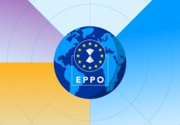 Bivši pomoćnik ministra kulture RH i bivši dekan Geodetskog fakulteta među 29 optuženih za zlouporabu EU fondova