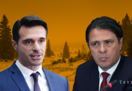 FONDACIJA ACT: Upućivanje Zakona o šumama FBiH zapelo kod dva HDZ-ova ministra
