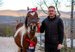 Tihomir Lučić: Od konja Paška do 4,5 milijuna božićnih lampica – priča o ljubavi prema rodnom kraju