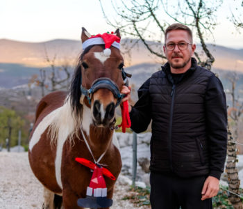 Od konja Paška do 4,5 milijuna božićnih lampica – priča o ljubavi prema rodnom kraju