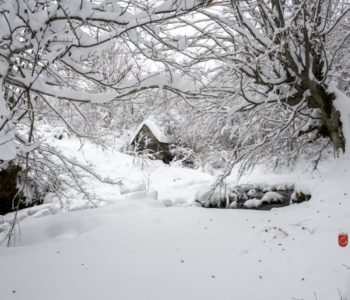 Prognoza Nedima Sladića