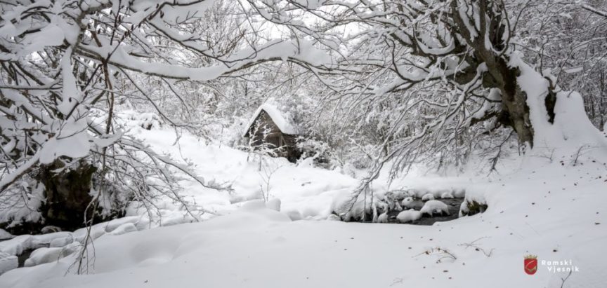 Prognoza Nedima Sladića