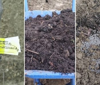 Tko misli da autohtone voćke ne treba njegovati – grdno se vara