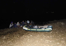 Među cijepanim drvima pokušao krijumčariti 30 Kineza iz BiH u Hrvatsku