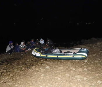 Među cijepanim drvima pokušao krijumčariti 30 Kineza iz BiH u Hrvatsku