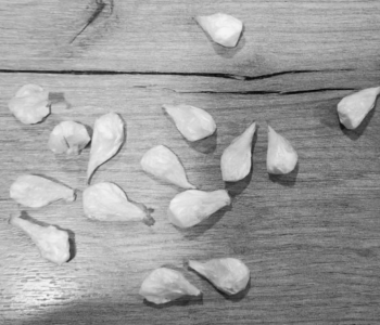 Pronađen kokain u Prozoru, uhićena jedna osoba