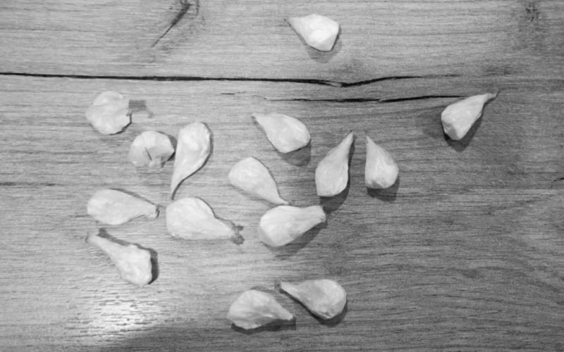 Pronađen kokain u Prozoru, uhićena jedna osoba