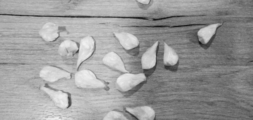 Pronađen kokain u Prozoru, uhićena jedna osoba