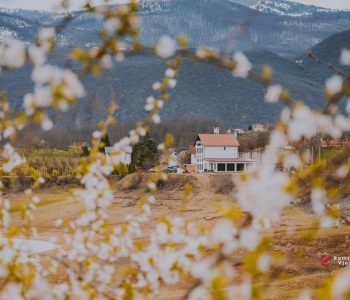 ZAŠTO RAMA? | “Tu je djedovina, tu je očevina, sve nas tu vuče”