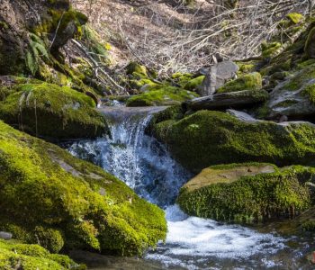 Gdje teče voda, raste jednakost – Svjetski dan voda 2026.