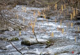 Upozorenje za BiH, od 4. do 7. travnja izvanredno stanje zbog vodostaja