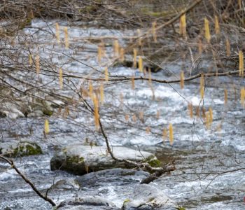 Upozorenje za BiH, od 4. do 7. travnja izvanredno stanje zbog vodostaja