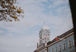 Na današnji dan 1897. godine preminuo Petar Barbarić