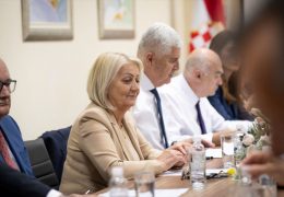 PROCURIO AUDIO SNIMAK S HNS-a “Lučića treba skloniti, ulazit će dublje i u privatni dio”