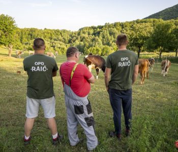Kako su braća Raič izgradila uspješan OPG na Paljikama u Rami