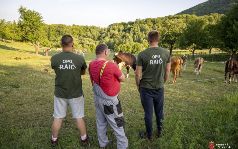 Kako su braća Raič izgradila uspješan OPG na Paljikama u Rami