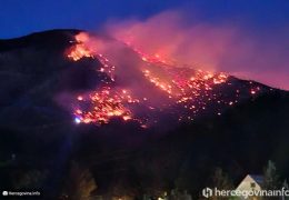 Vatrogasci cijelu noć gasili požar na Rujišti, očekuje se pomoć iz zraka